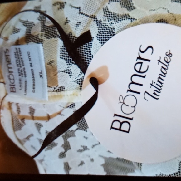 Panties by Bloomers Intimates New with Tag 3 pair Lace - Picture 4 of 6